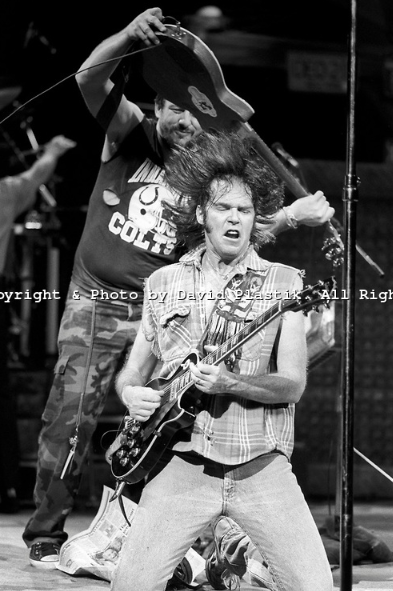 Neil young bud scoppa essay image