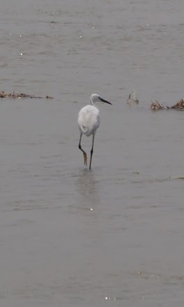 What Does It Take To Create An Opportunity?