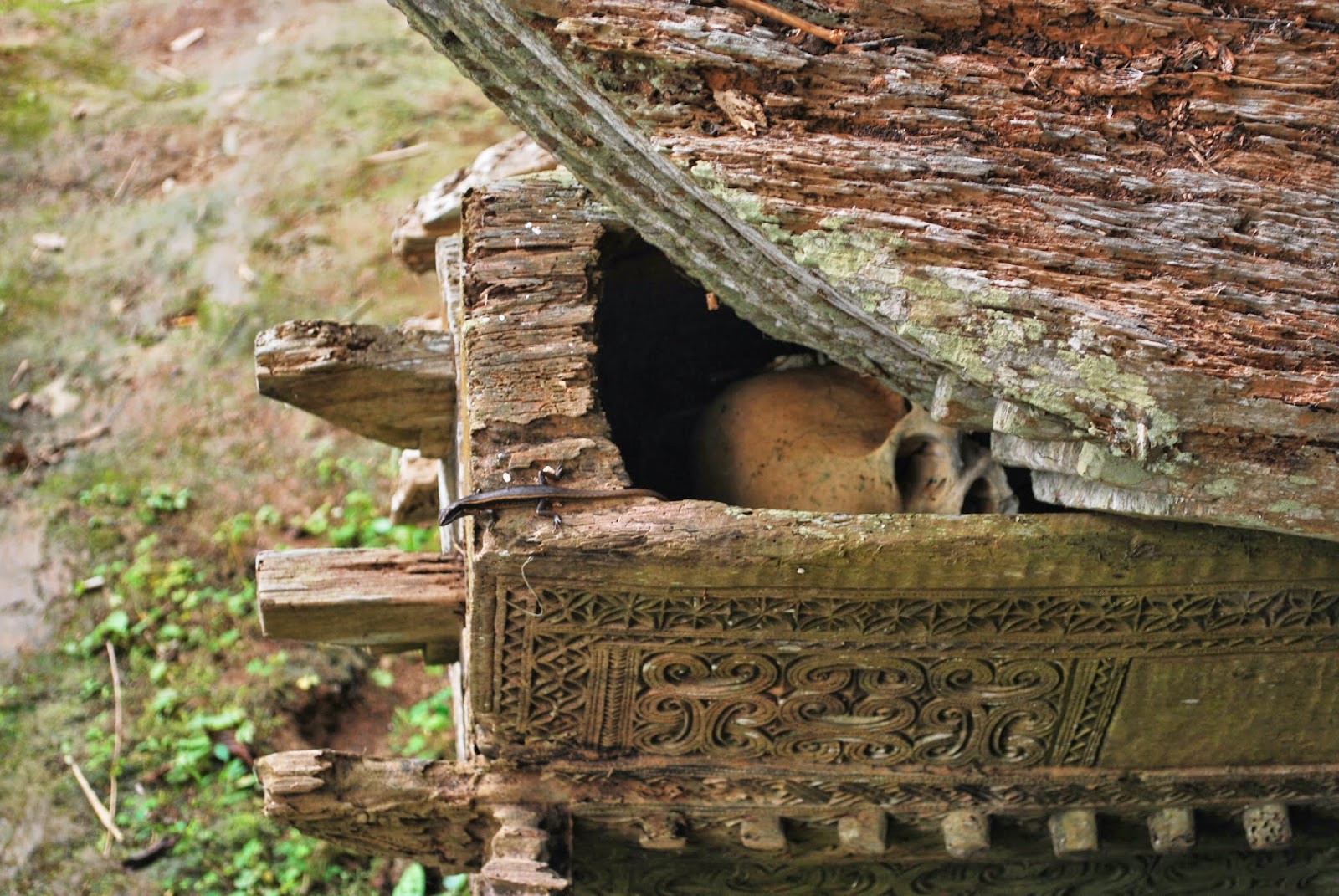 la pasión según sansegundo octubre 2013