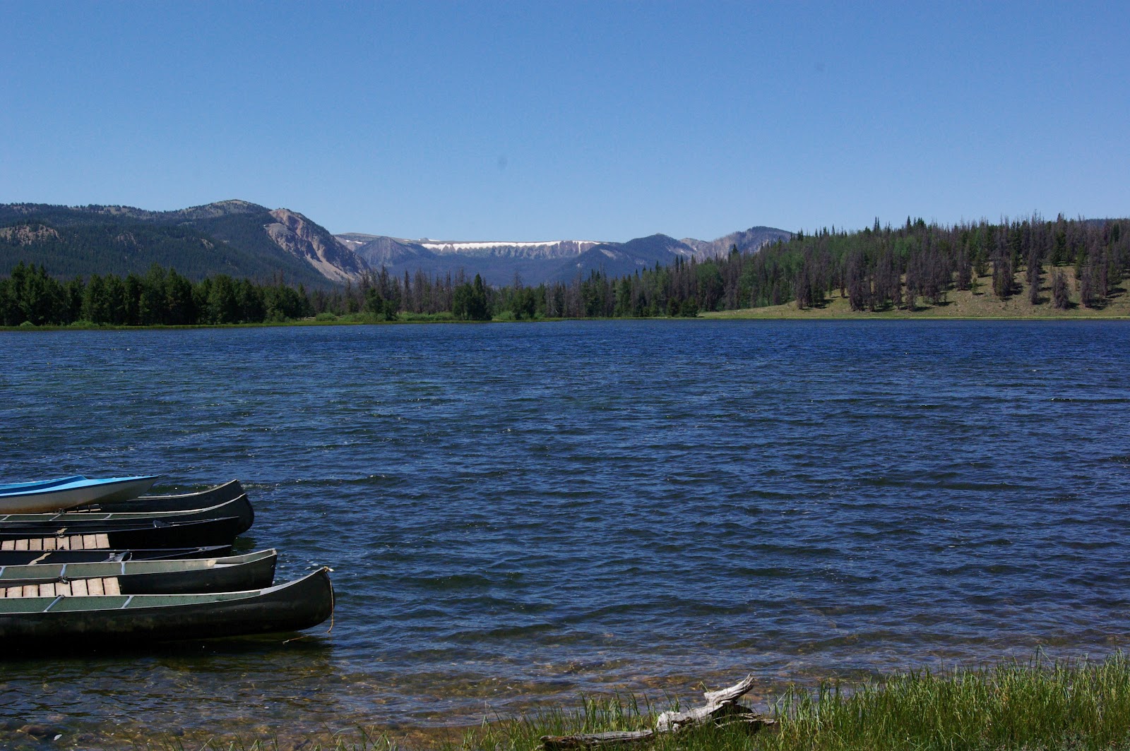 TURNER TIMES 6 Girls Camp Lyman Lake June 2012