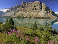 Bow Lake and Flowers, Banff National Park, Alberta, Canada wallpapers