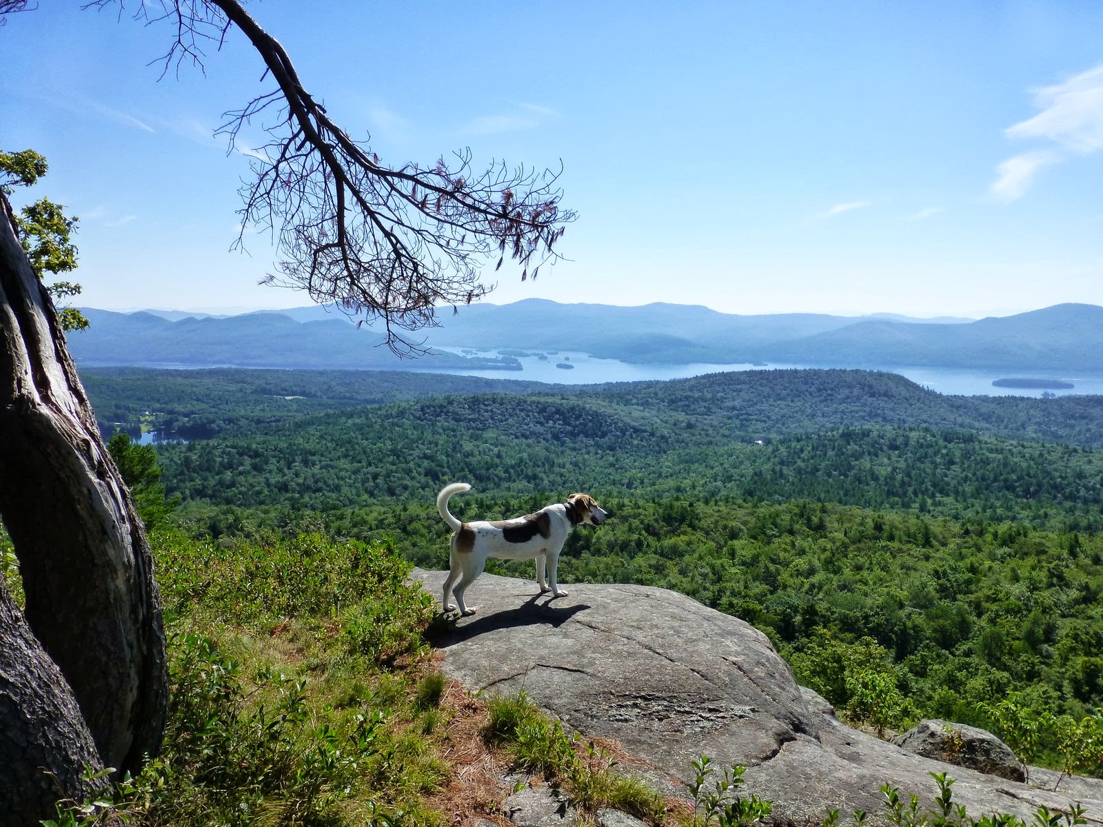 Off on Adventure Cat and Thomas Mountains Bolton, NY 7/27/13