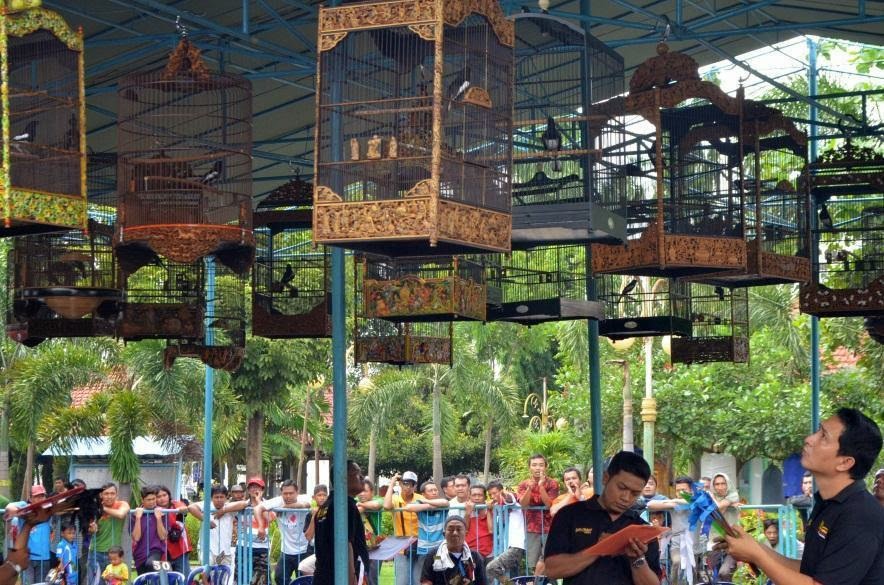 Lomba Gantangan Burung