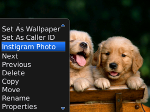 Penampakan Instigram | BlackBerry App World Penampakan Instigram | BlackBerry App World