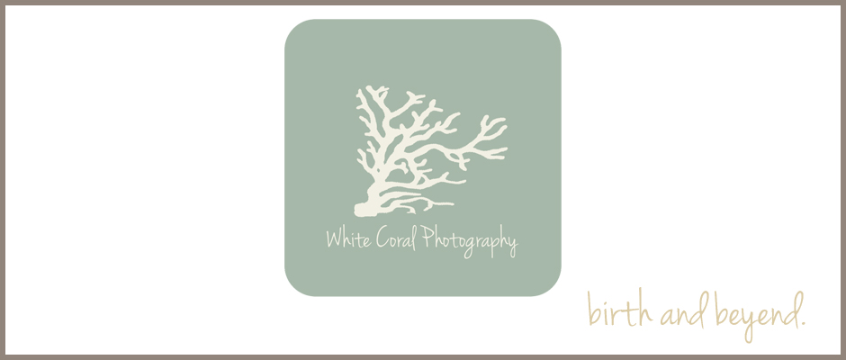 White Coral Photography