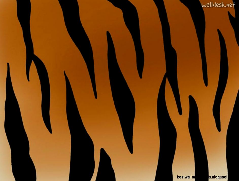 Wallpapers Zebra Print Images To Textures Fotos Imagens E 1024x768 Wallpapers Zebra Print Images To Textures Fotos Imagens E 1024x768