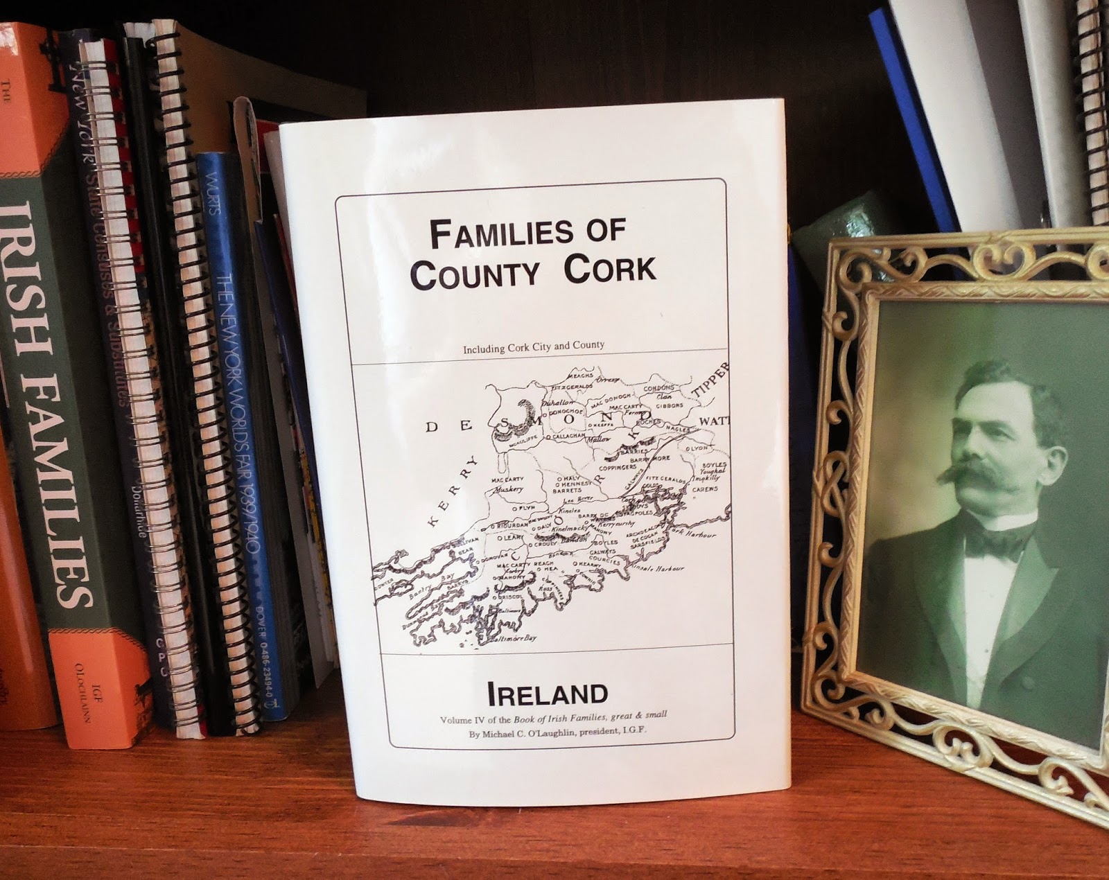 Leaves & Branches Book Families of County Cork