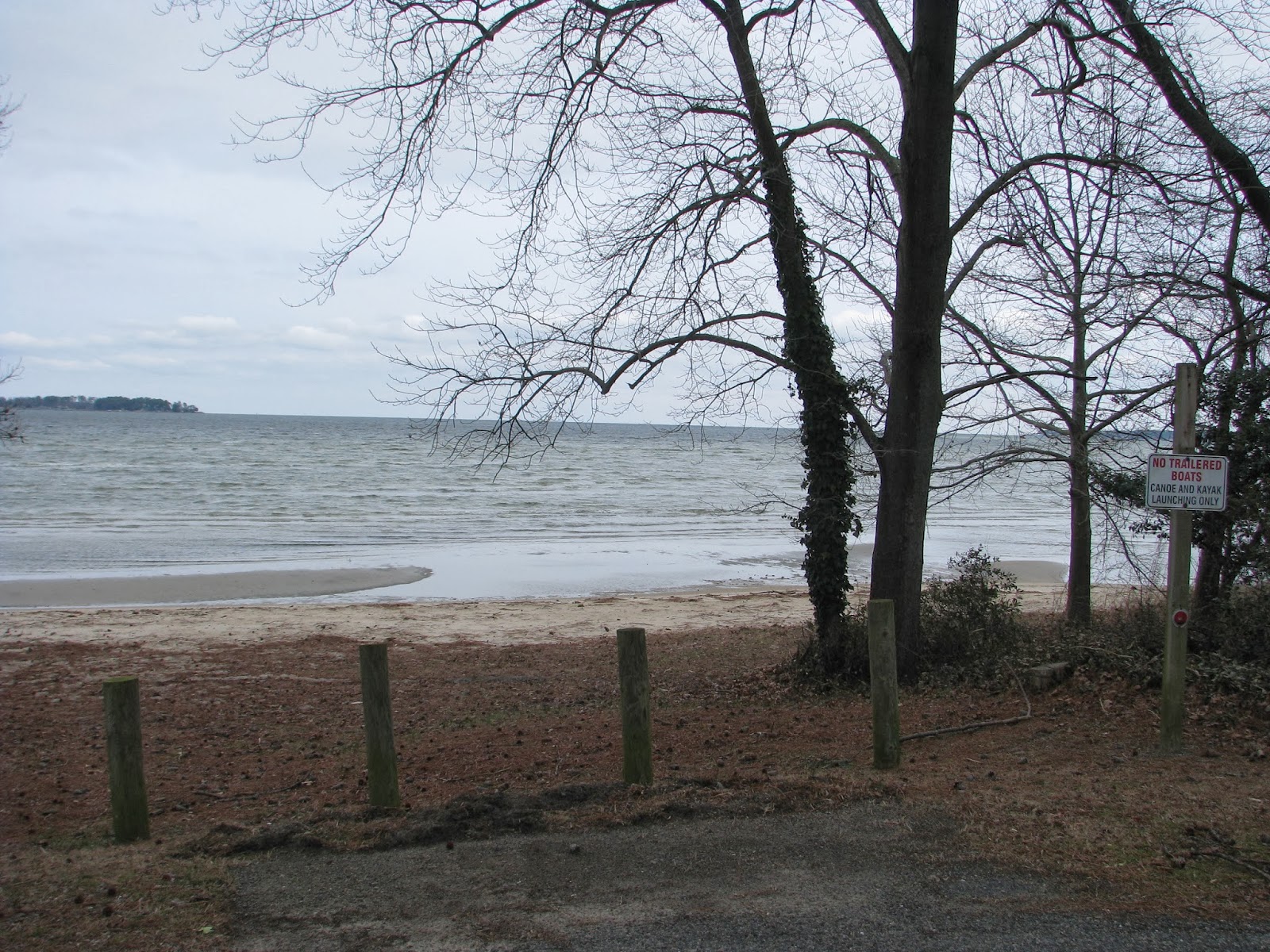 Life in Mathews Piankatank River