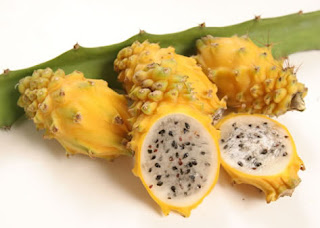 Dragon Fruit Yellow Skin