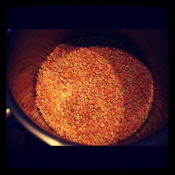 A Culinary Education Bacon Tomato Lentil Pasta