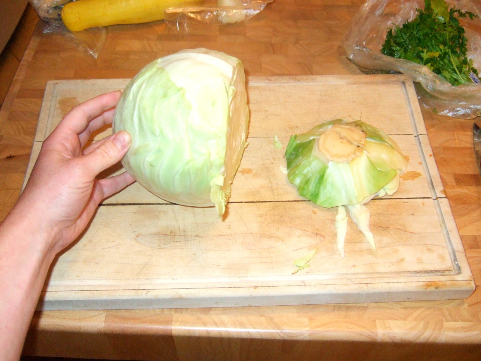 Raw Recipes RAW CABBAGE WRAPS!