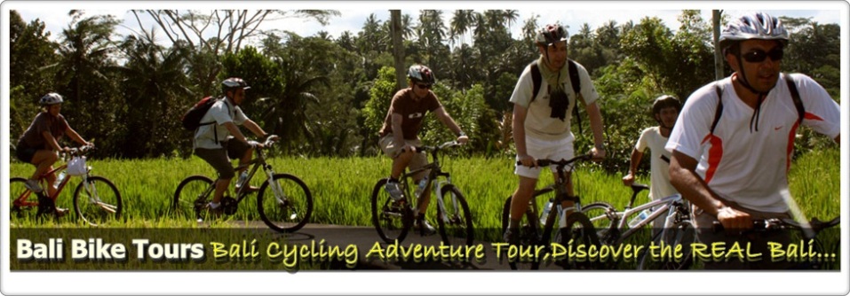 Bali Bike Tours
