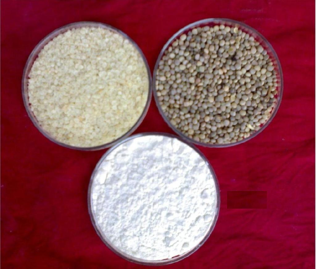 GUAR GUM INFORMATION AND GUAR GUM CULTIVATION IN INDIA GUAR PHOTO GALLERY