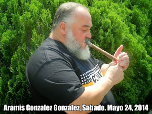 Aramis Gonzalez Gonzalez de Santiago de Las Vegas, En Tampa, Florida, EE.UU. Sabado, Mayo 24, 2014