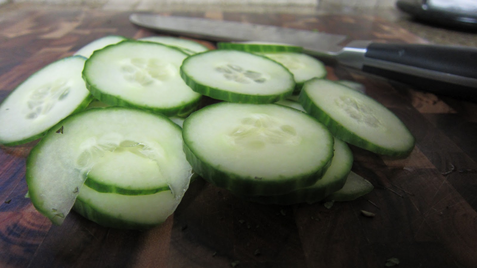 Tidbits & Thyme Lamb Kebabs with Mint Yogurt Dip