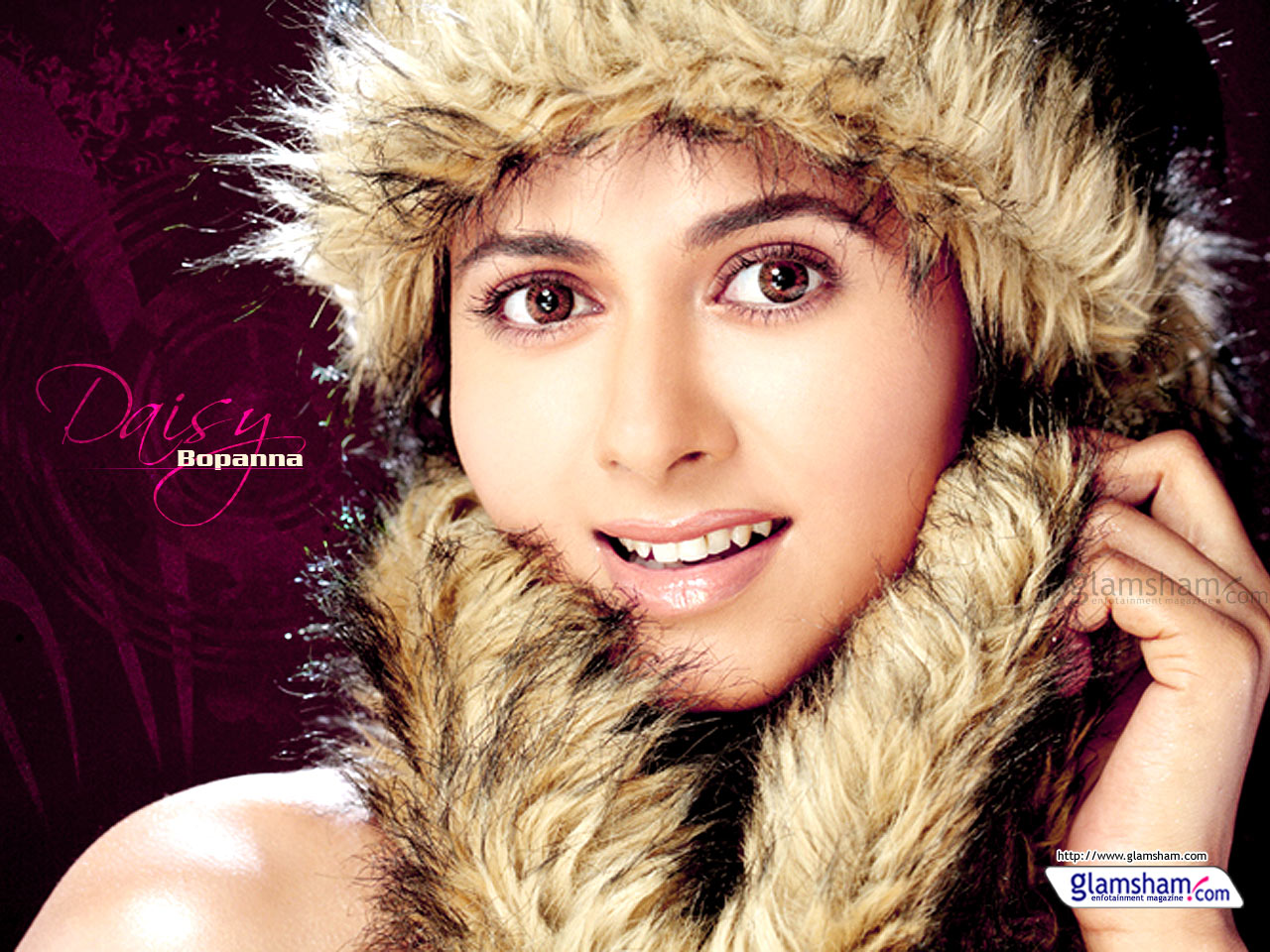 Tamil Actress Photos and Videos Daisy Bopanna Photos and Videos