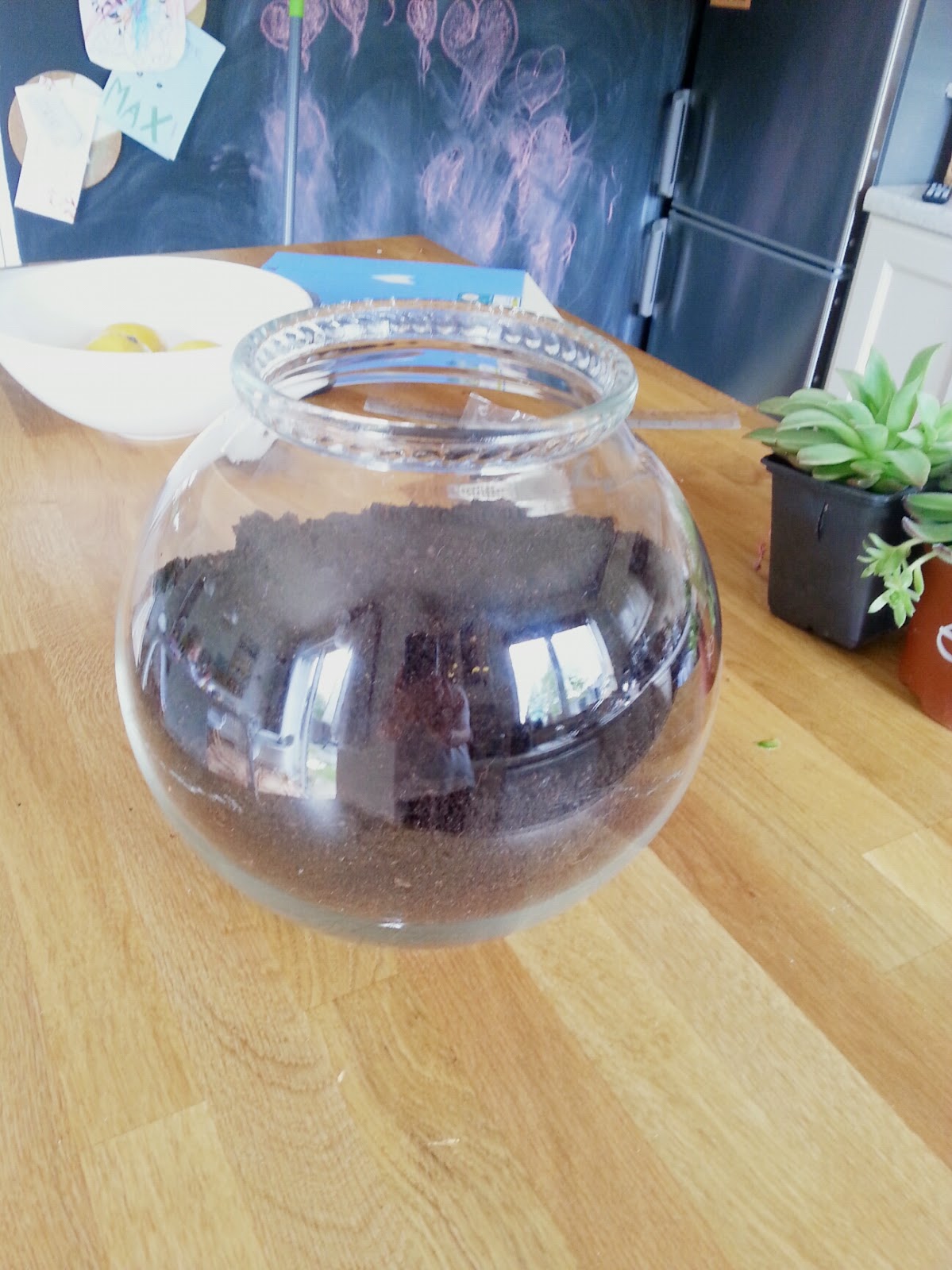 Fish bowl terrarium Make Do and DIY