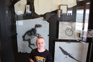 boy in front of dinosaur fossils