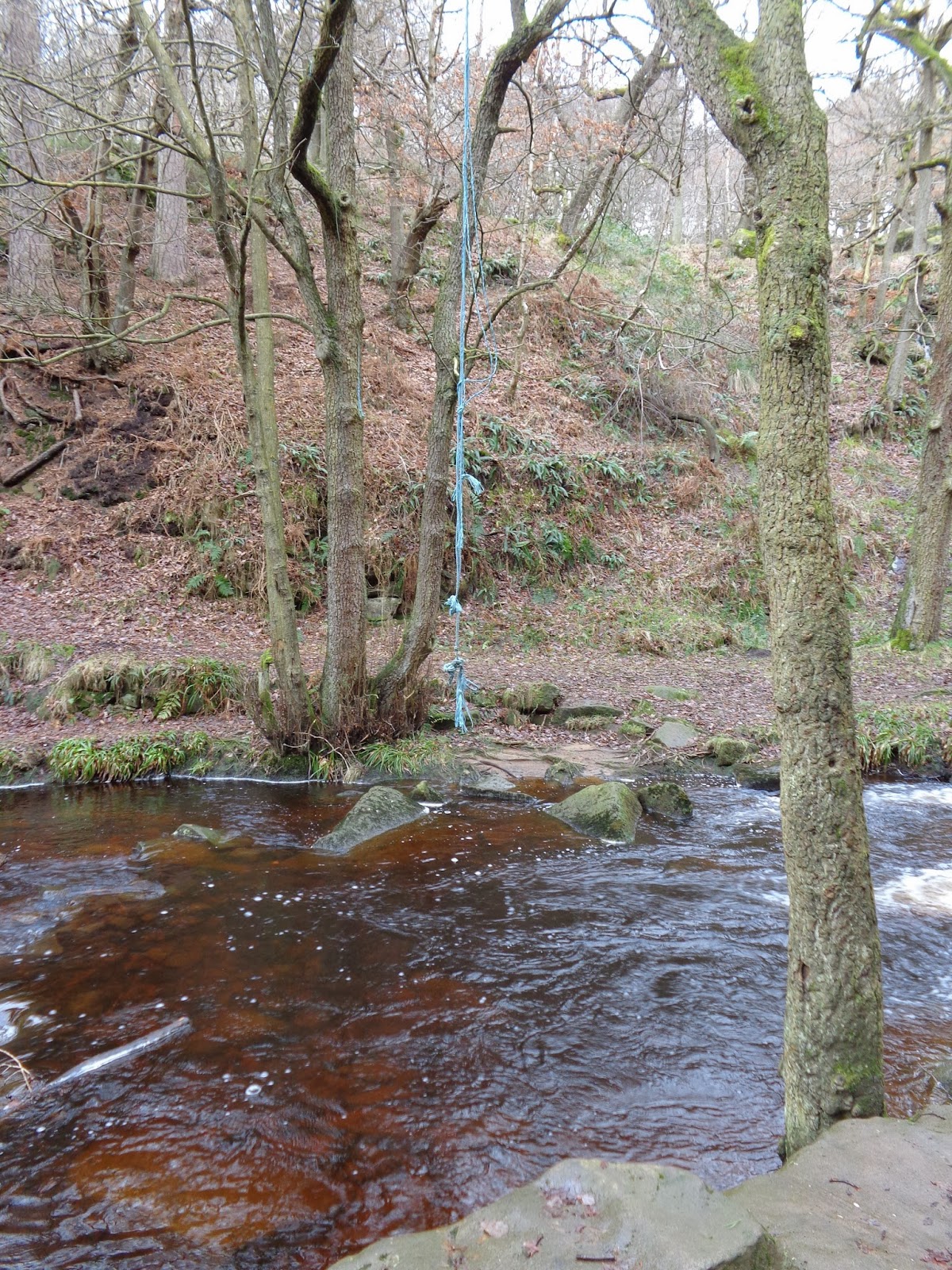 Peak Walks 2 January 2014