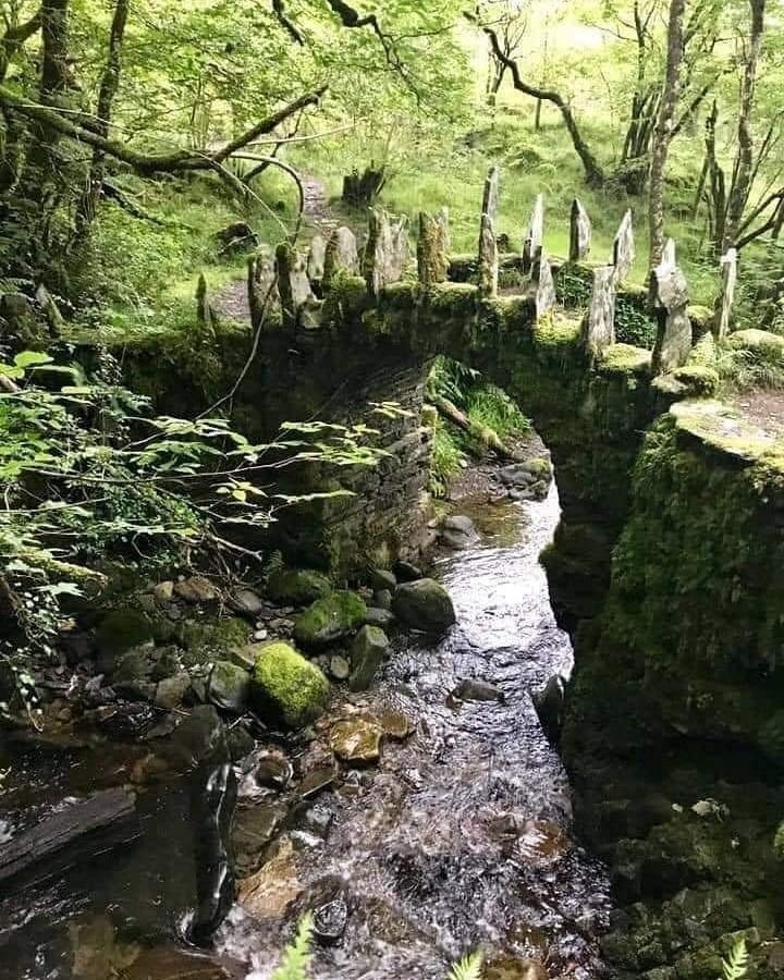 Medieval faerie bridge,...
