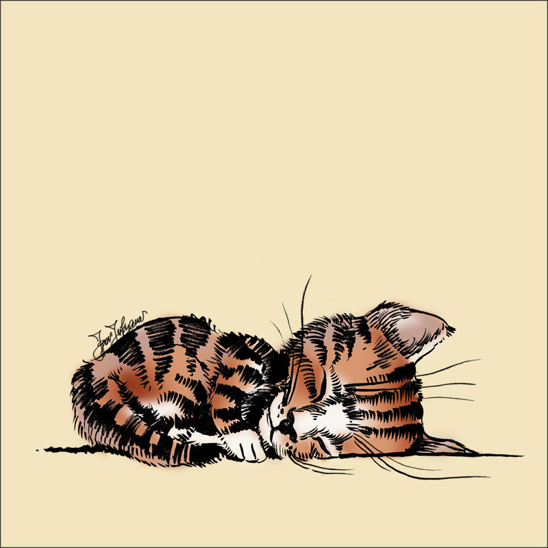 Cartoon Kitten Sleeping