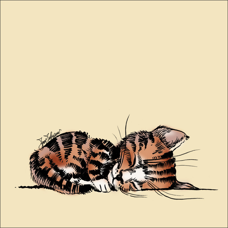 Cartoon Sleeping Cat