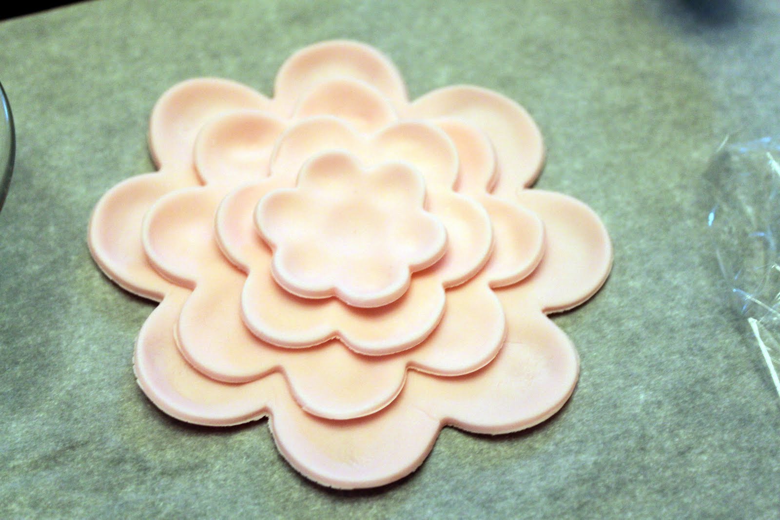 Domestic Charm Gumpaste Flowers