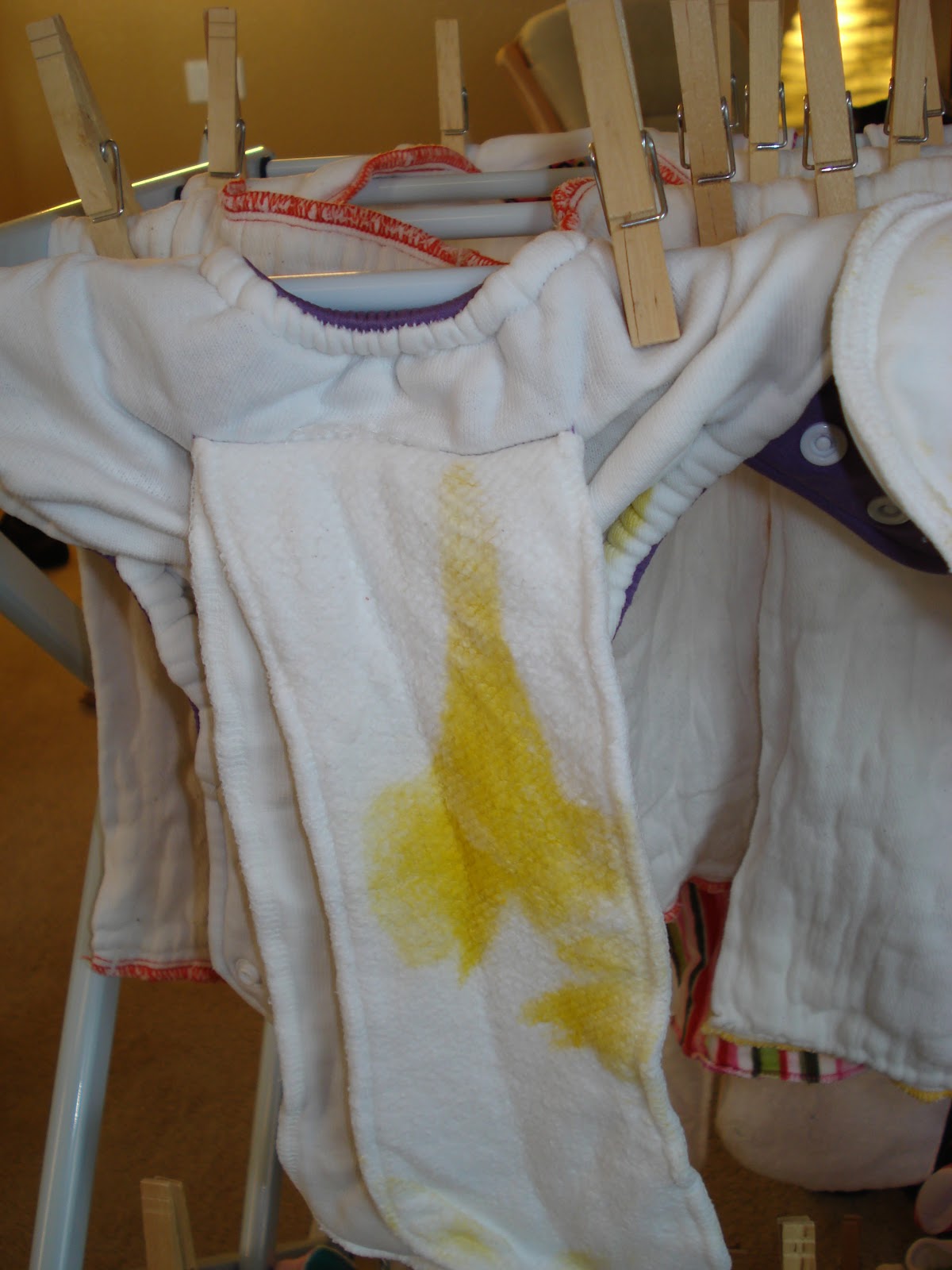 Adventures in Randomness The scoop on poop. Don't be scared of washing