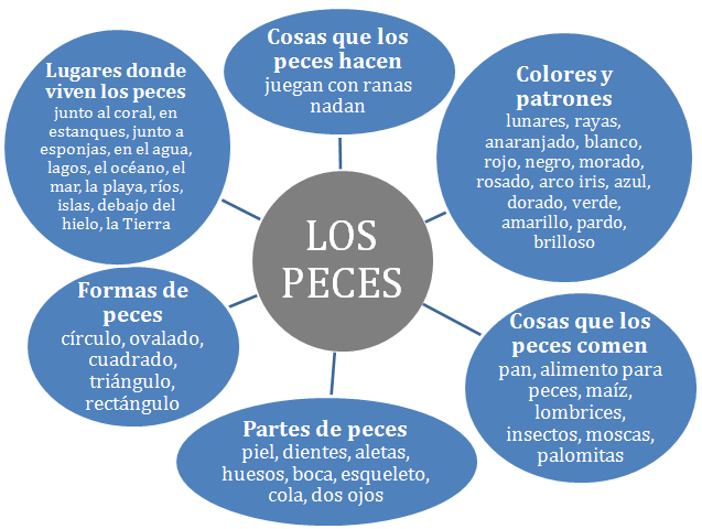 INFORMACION DE UN PEZ informacion de un pez: