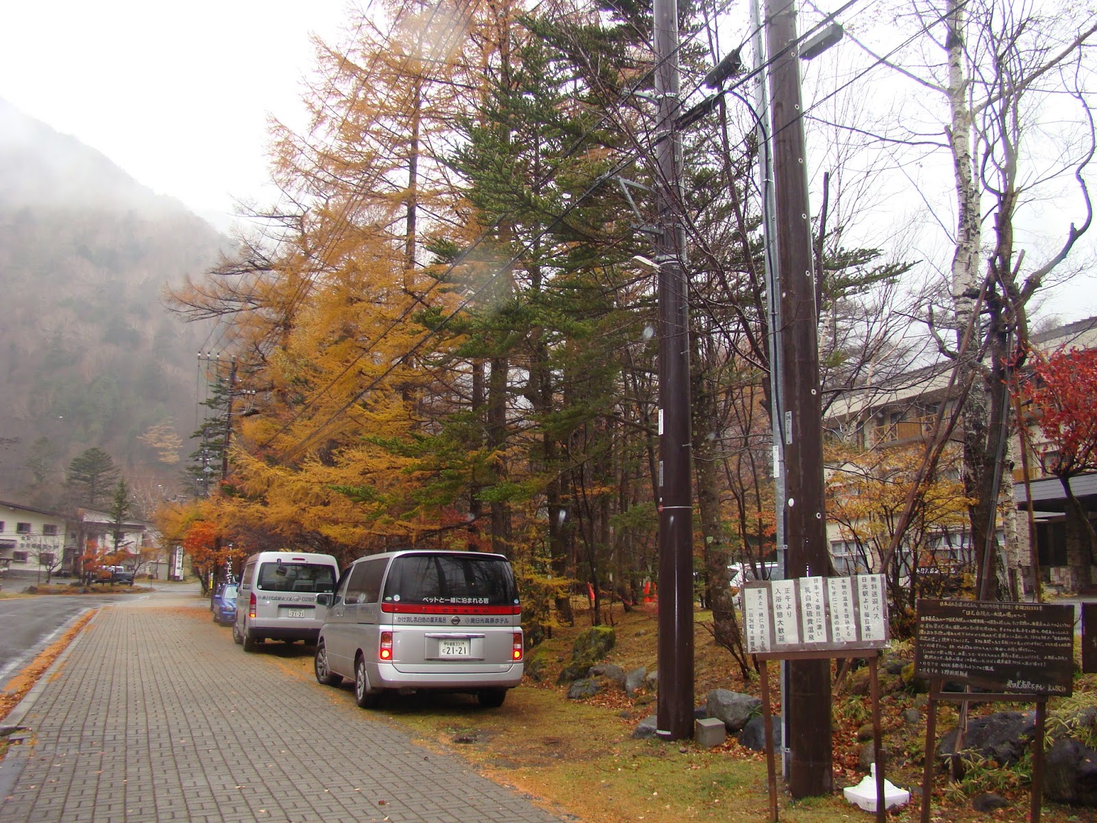 千葉県市川市立新井小学校のお知らせ ニュース 秋も後半に
