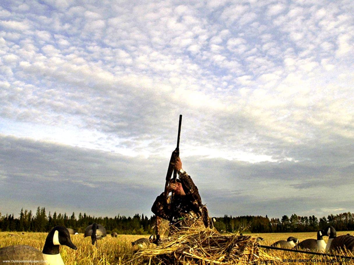 Duck Hunting Computer Wallpaper Duck Hunting Computer Wallpaper