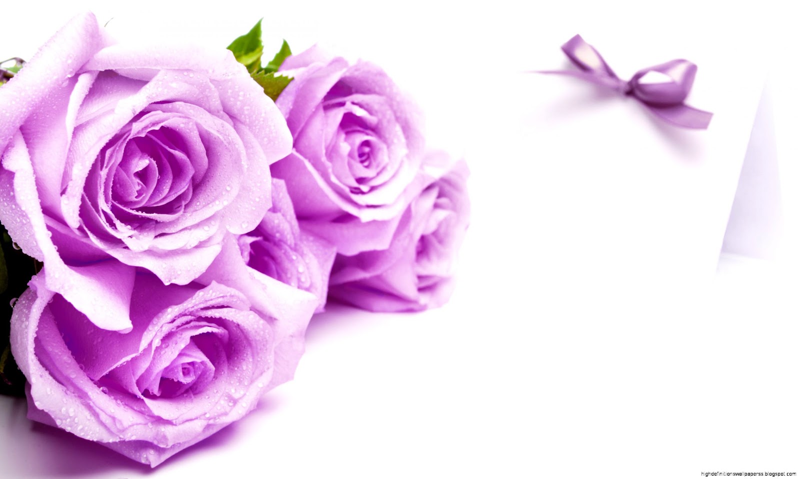Mothers Day Purple Roses Mothers Day Purple Roses