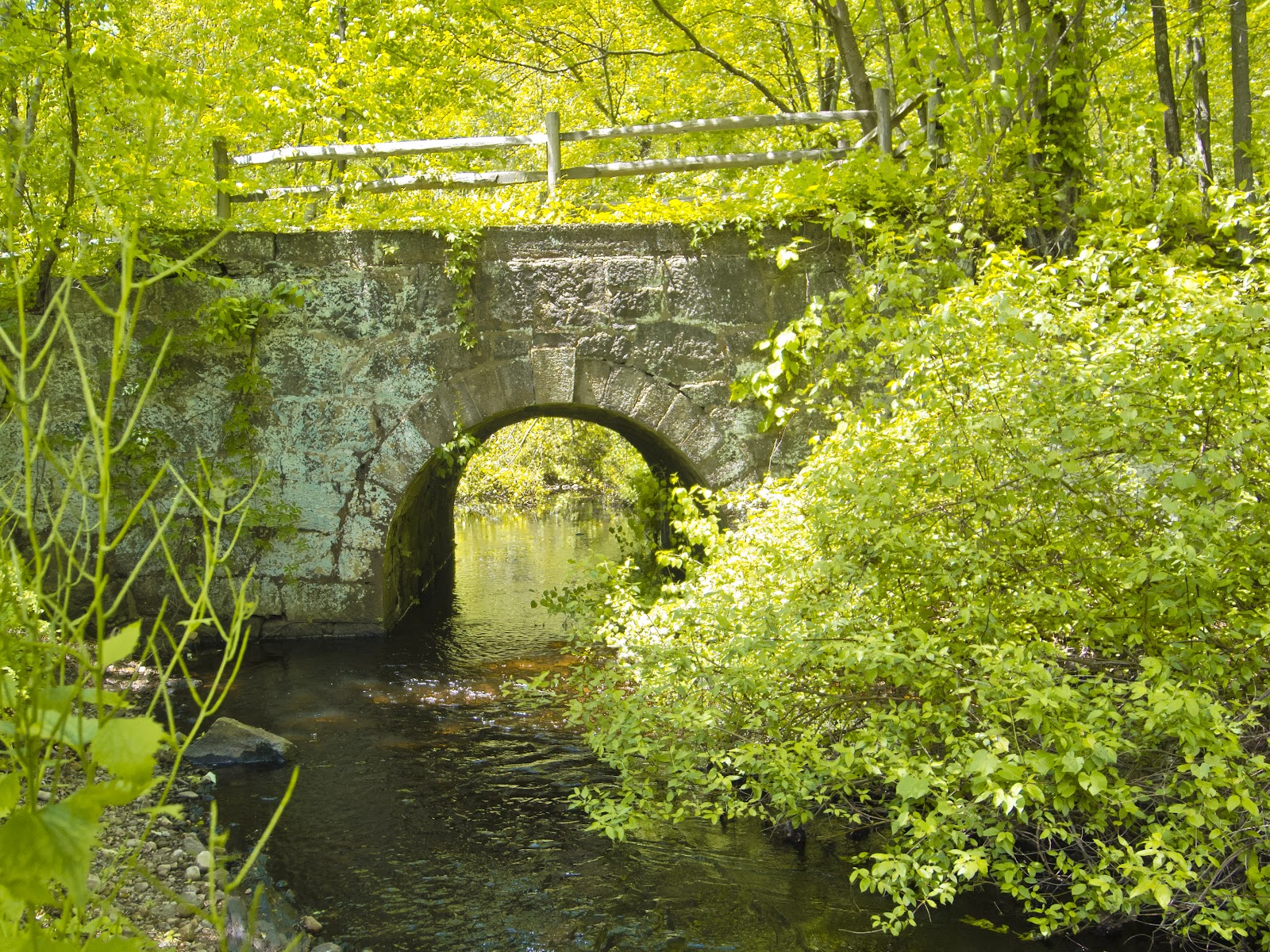 Connecticut Explorer Trail Biking The Monroe Housatonic Railbed