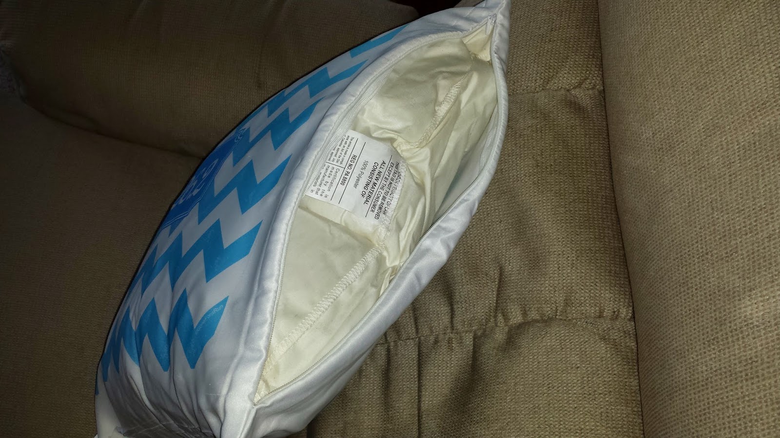 Road Runner Girl Gone For A Run Decorative Pillow Review!