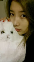 Walaupun peluk boneka kucing, Suzy Miss A tetap cantik.