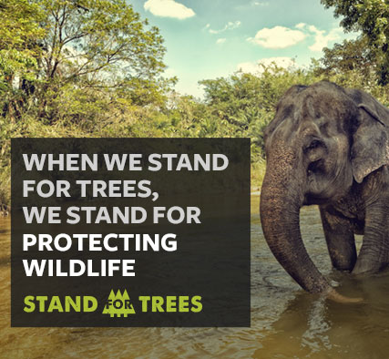 STAND FOR TREES