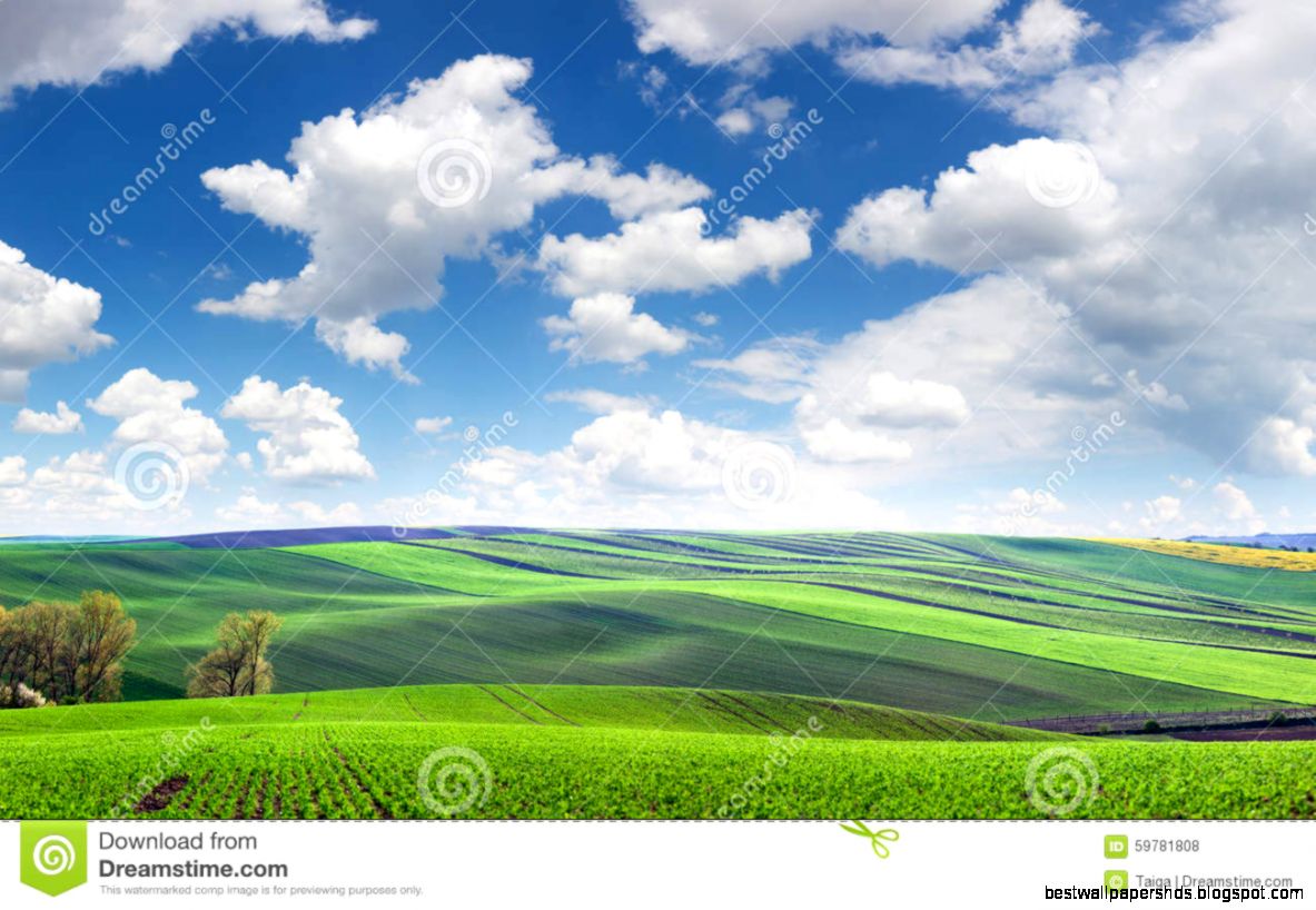 Wonderful Panoramic View Of Fields In Beautiful Colorful And Str Wonderful Panoramic View Of Fields In Beautiful Colorful And Str