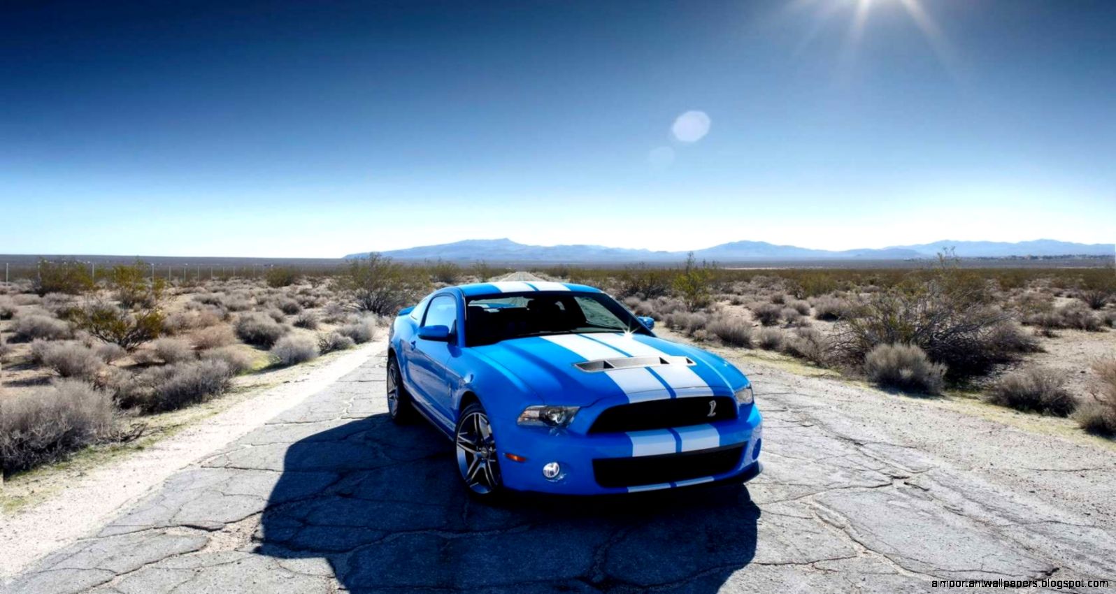 Ford Car Photos 2014 Ford Mustang Shelby Gt500 Wallpaper Ford Car Photos 2014 Ford Mustang Shelby Gt500 Wallpaper