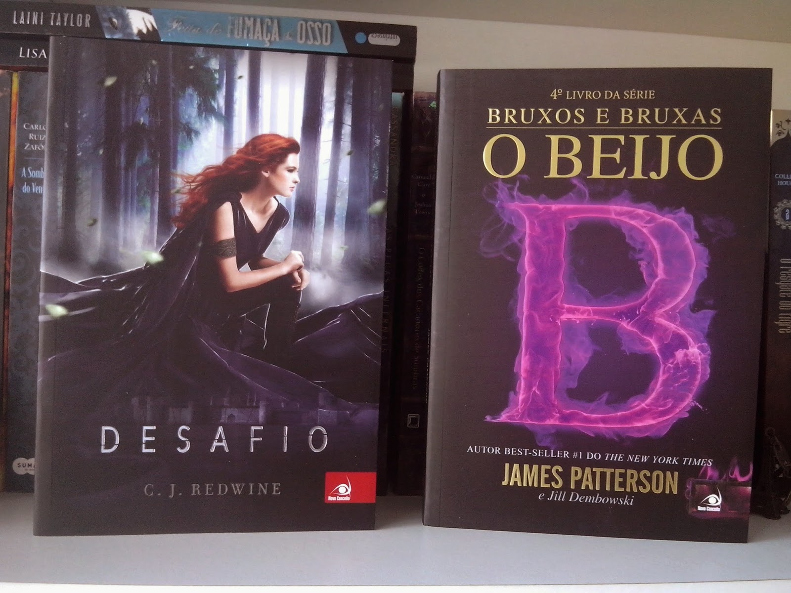 Amores e Livros: Minha vez de Brilhar – Erin E. Moulton