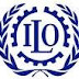 Vacancy at UNDP-ILO Project