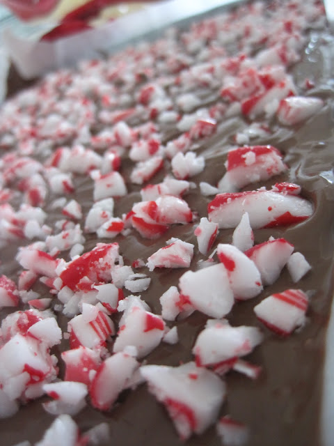 Keeping the Christmas Spirit Alive 365: 12 Days of Christmas Traditions