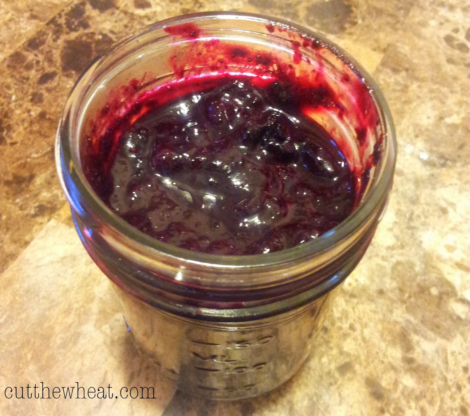 Sugar Free Easy Blueberry Preserves | Cut The Wheat