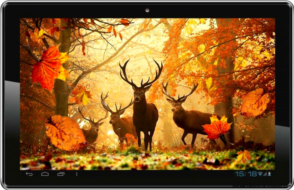 Download Autumn Sunrise live wallpaper APK 12 Not available in Download Autumn Sunrise live wallpaper APK 12 Not available in