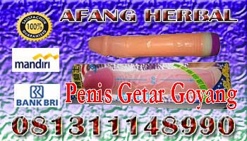 penis+bendera.jpg