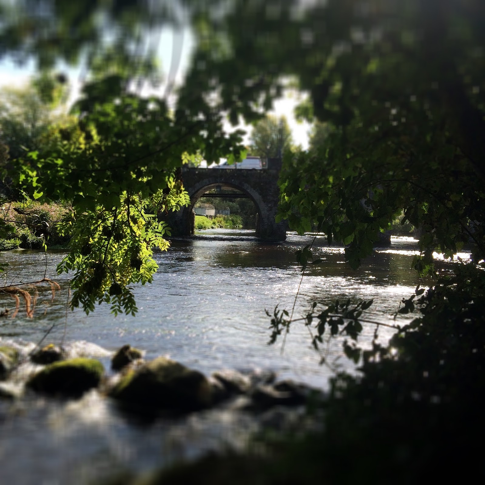 A day in Kilcullen and a review of An Tearmann Purity Belle Blog