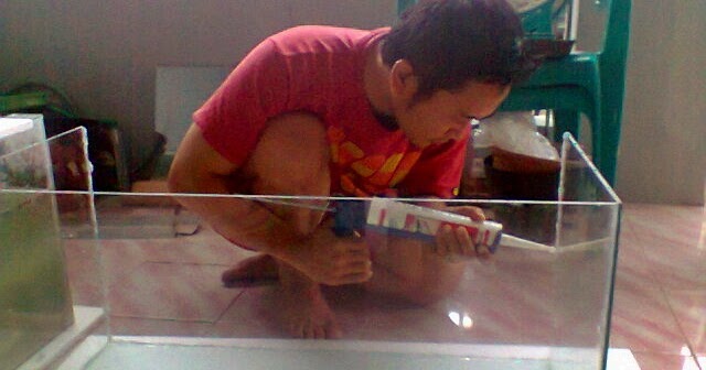 Membuat Sendiri Akuarium