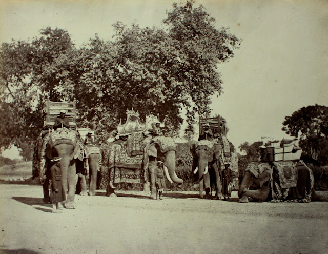 Group+of+state+elephants+with+ceremonial+Howdahs+at+Veranasi+-+ca.1865