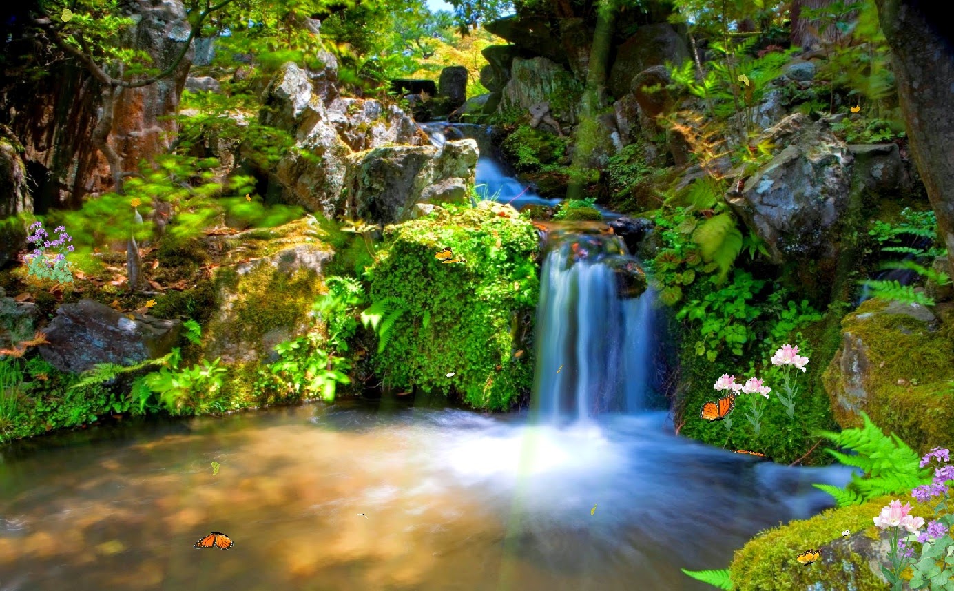 Animated Wallpaper | Wallpaper