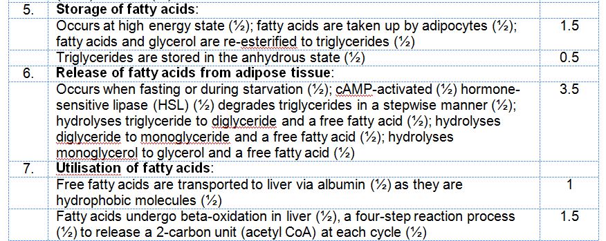 cardiovascular physiology essay questions