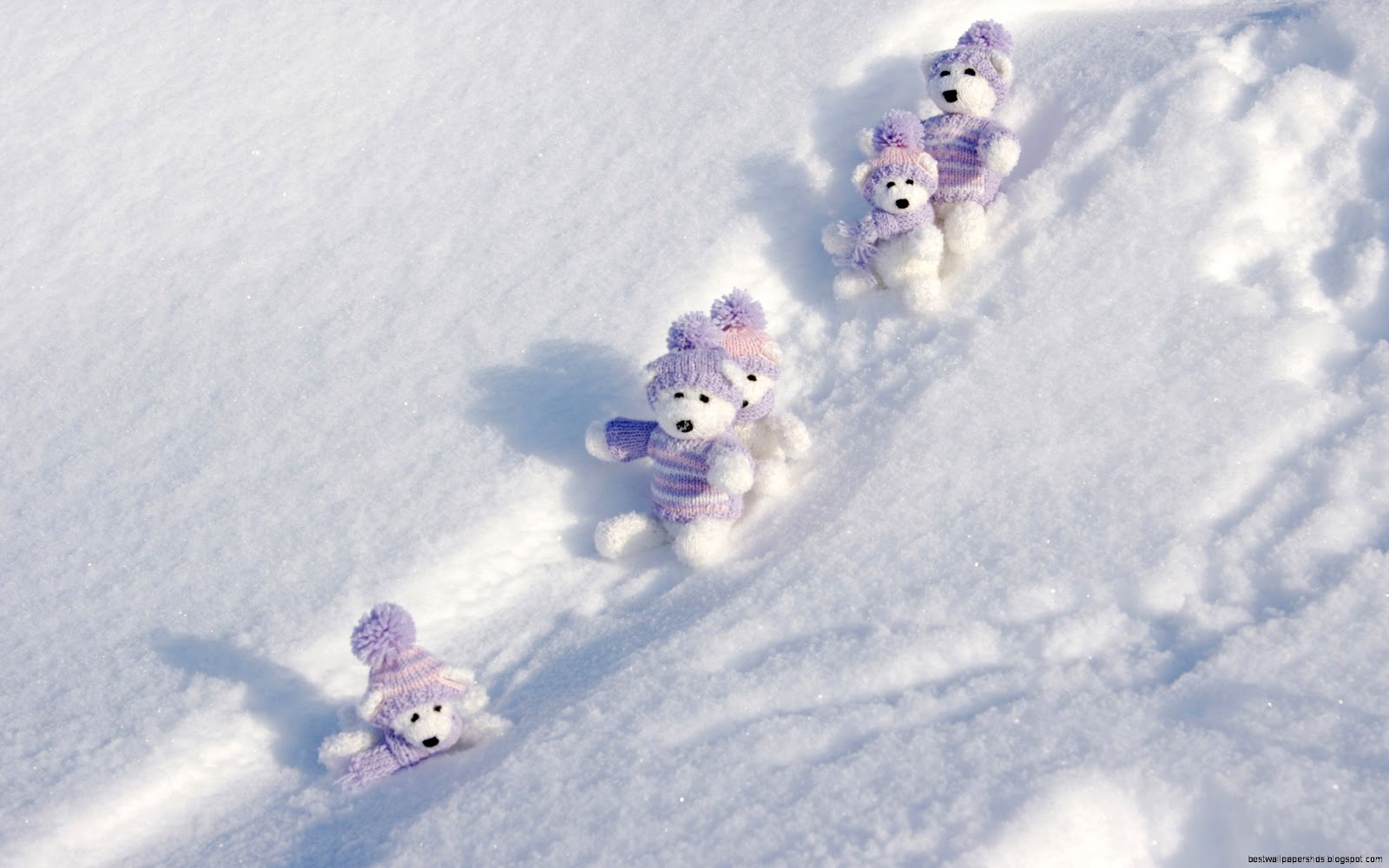Bears Desktop Wallpaper Winter Snow Bears Desktop Wallpaper Winter Snow